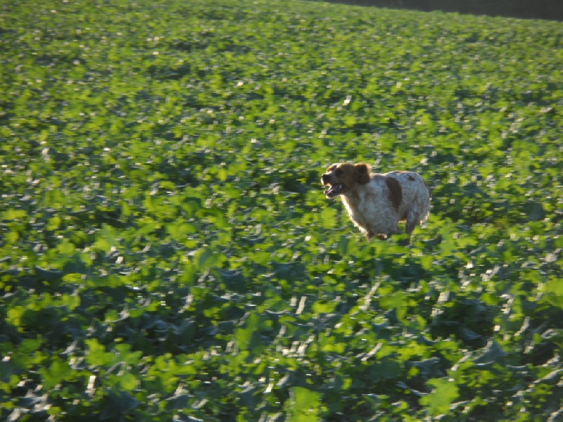 Hulma De La Vallée De La Py