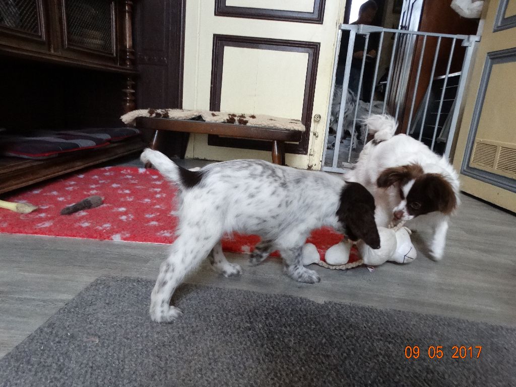 Mirabelle De La Vallée De La Py