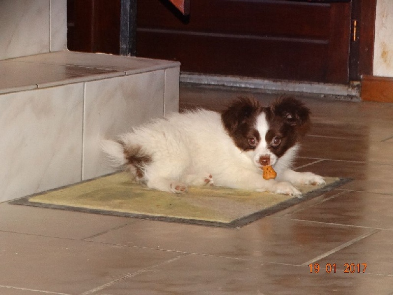 Mirabelle De La Vallée De La Py