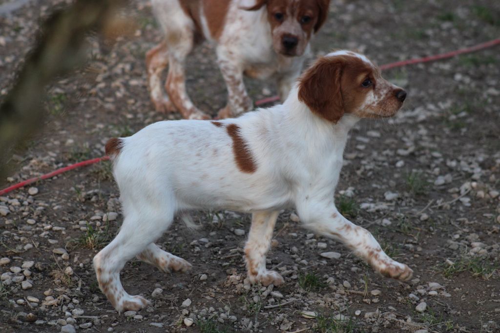 Tcho De La Vallée De La Py