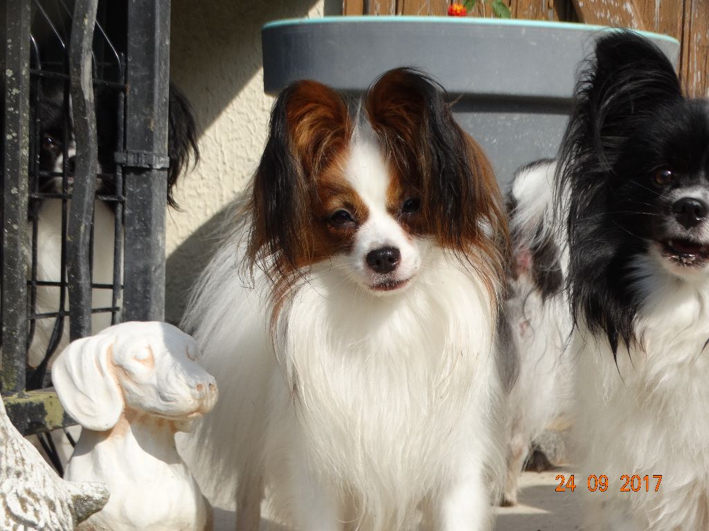 Jepp De La Vallée De La Py