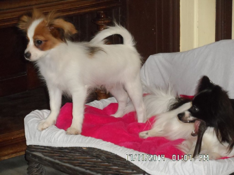 Jepp De La Vallée De La Py