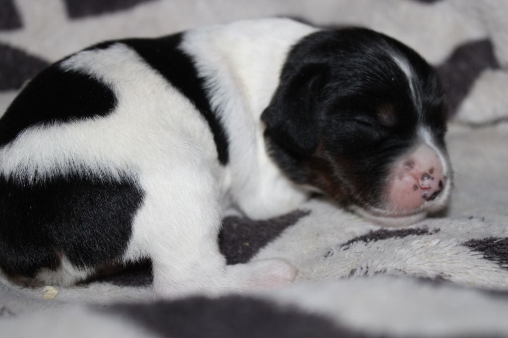 Vidoc De La Vallée De La Py