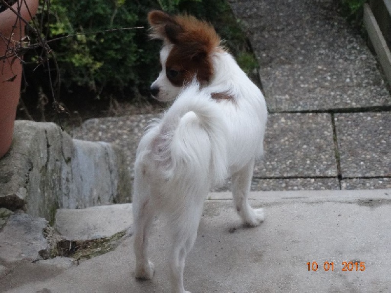 Jepp De La Vallée De La Py