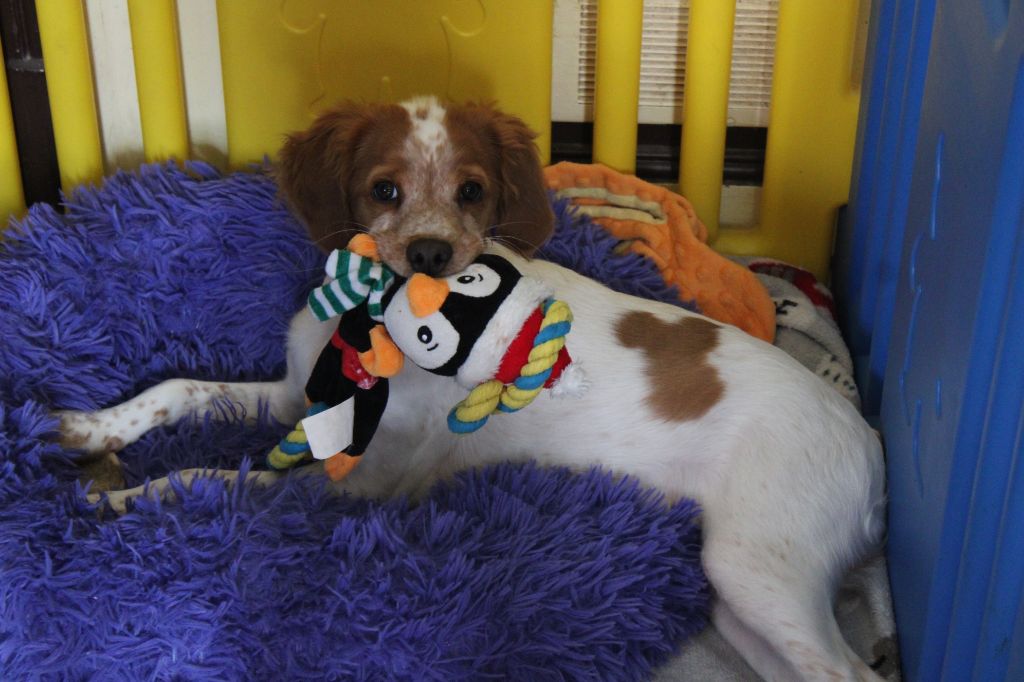 Tcho De La Vallée De La Py