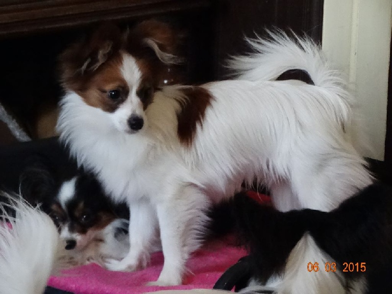 Jepp De La Vallée De La Py