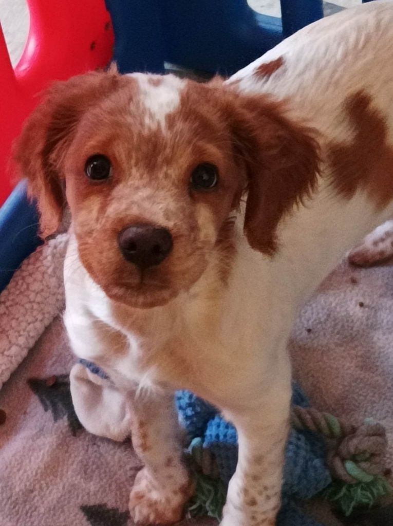 Tcho De La Vallée De La Py