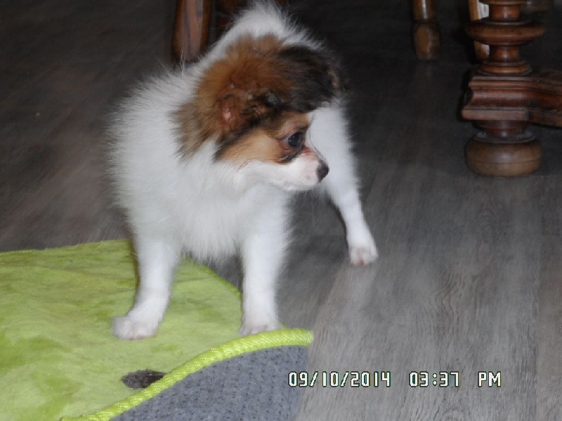 Jepp De La Vallée De La Py