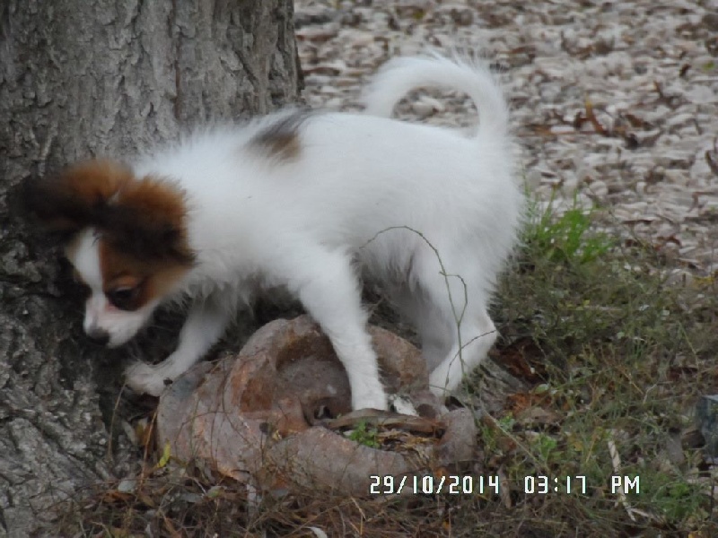 Jepp De La Vallée De La Py