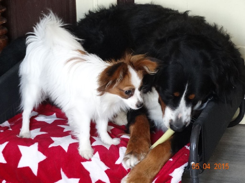 Jepp De La Vallée De La Py