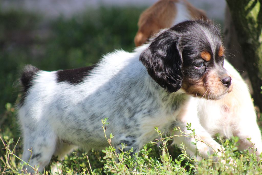 Publication : De La Vallée De La Py