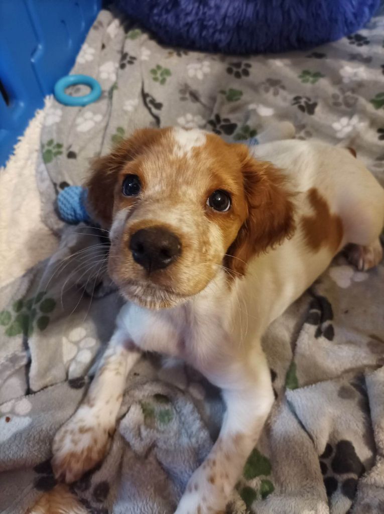 Tcho De La Vallée De La Py