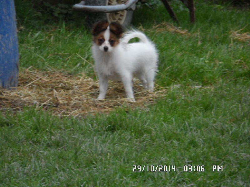 Jepp De La Vallée De La Py