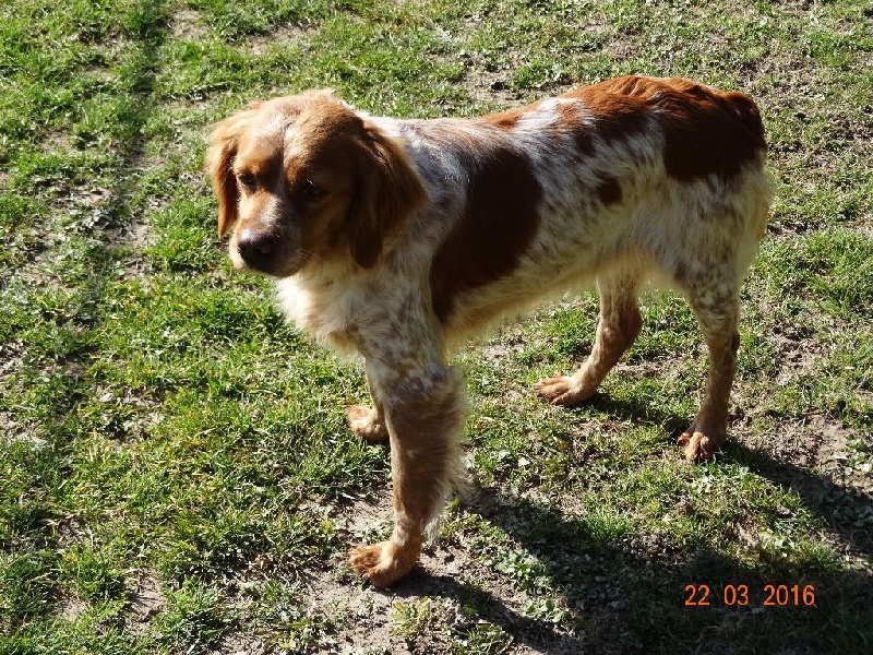 Hulma De La Vallée De La Py