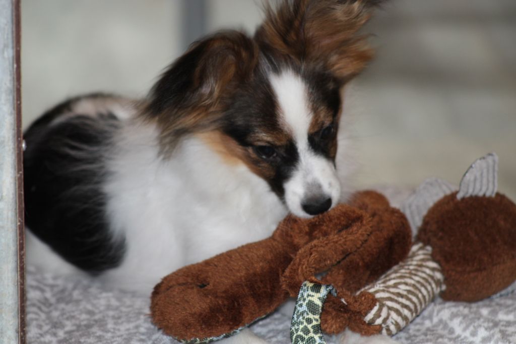 Ricky De La Vallée De La Py