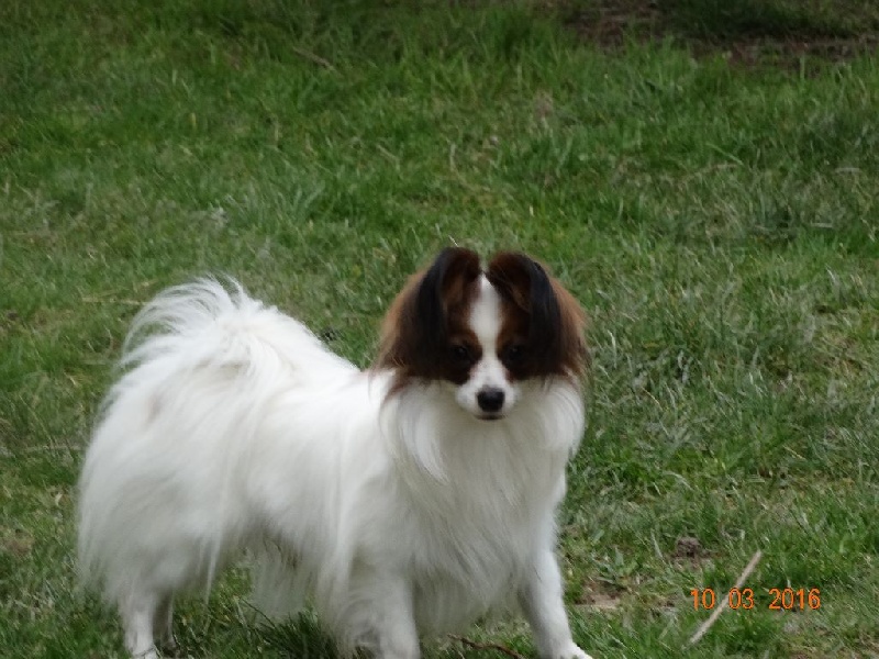 Jepp De La Vallée De La Py