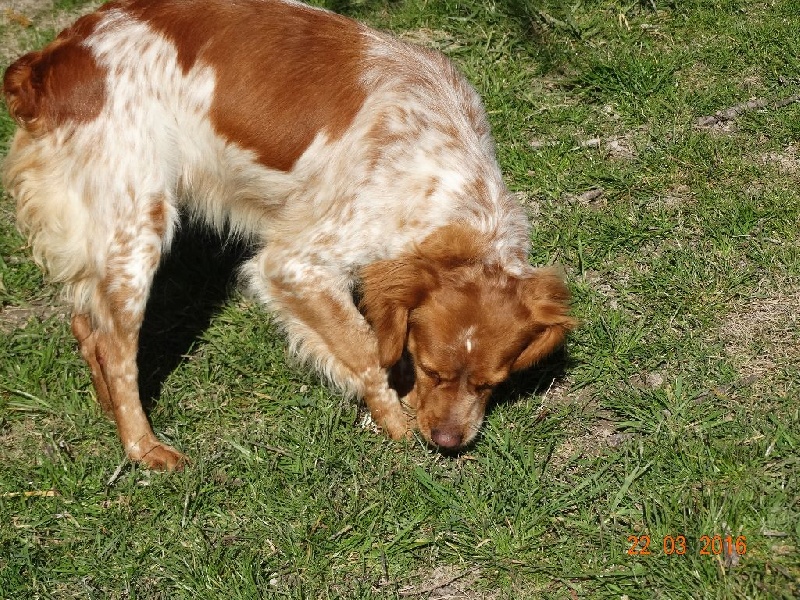 Hulma De La Vallée De La Py