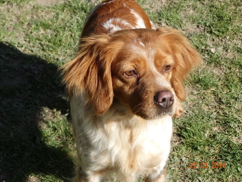 Hulma De La Vallée De La Py