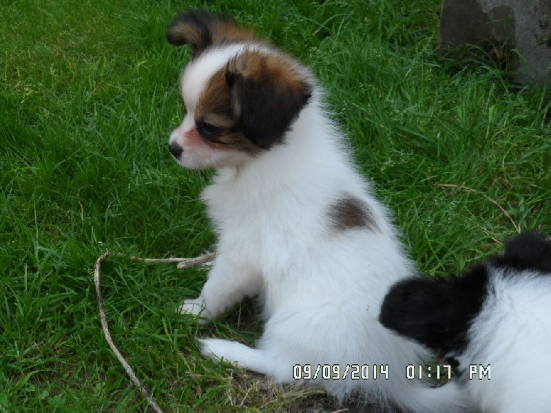 Jepp De La Vallée De La Py