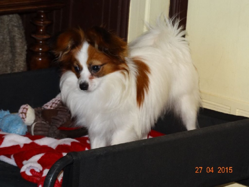 Jepp De La Vallée De La Py