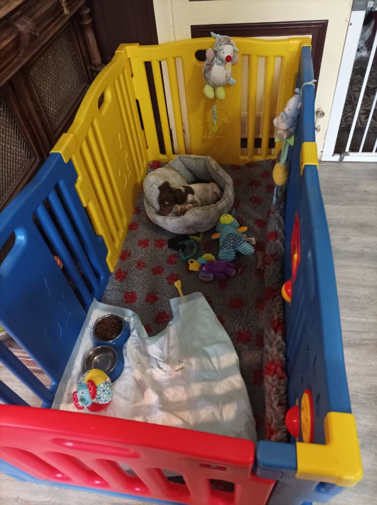 Toto De La Vallée De La Py