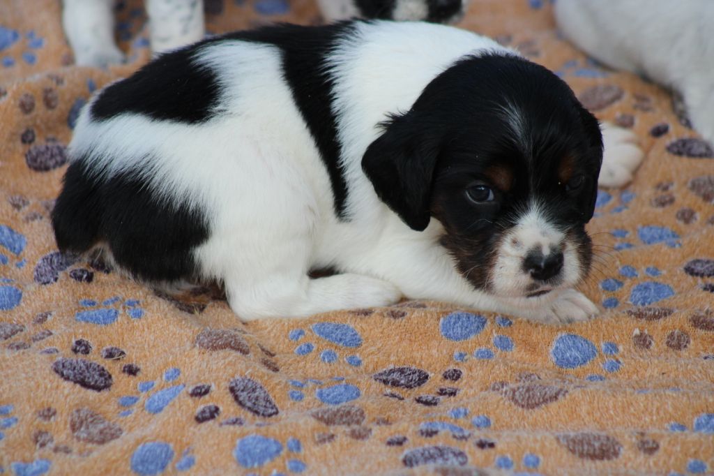 Vidoc De La Vallée De La Py