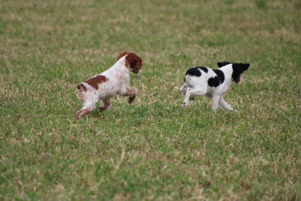 Artus De La Vallée De La Py