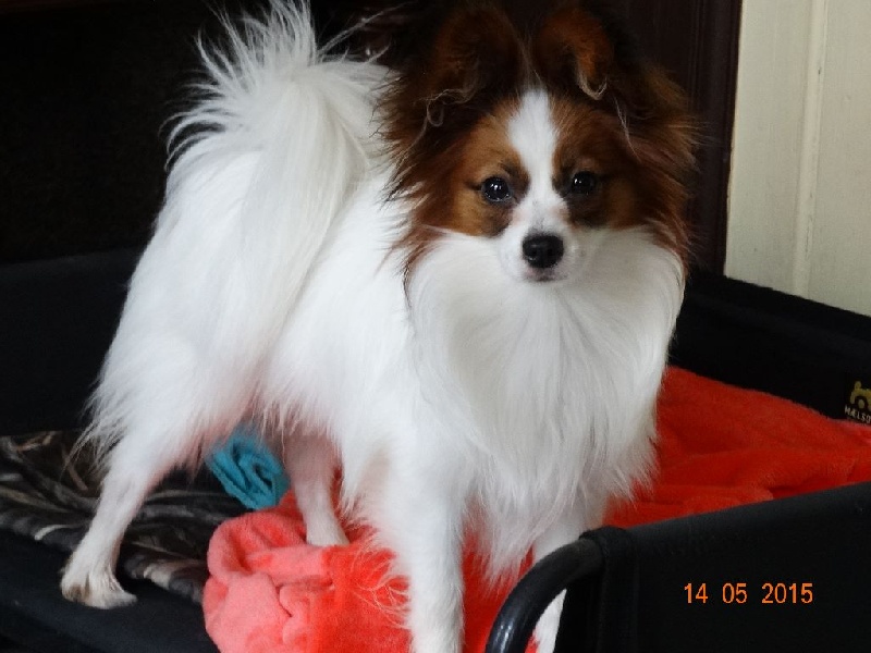 Jepp De La Vallée De La Py