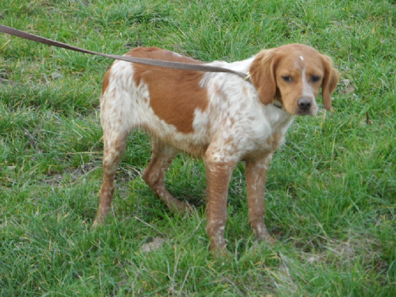 Hulma De La Vallée De La Py