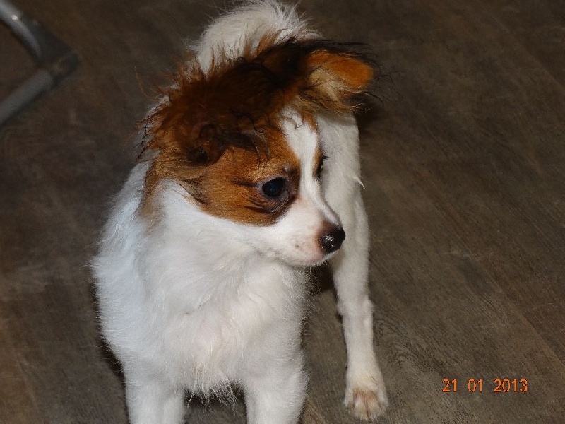 Jepp De La Vallée De La Py