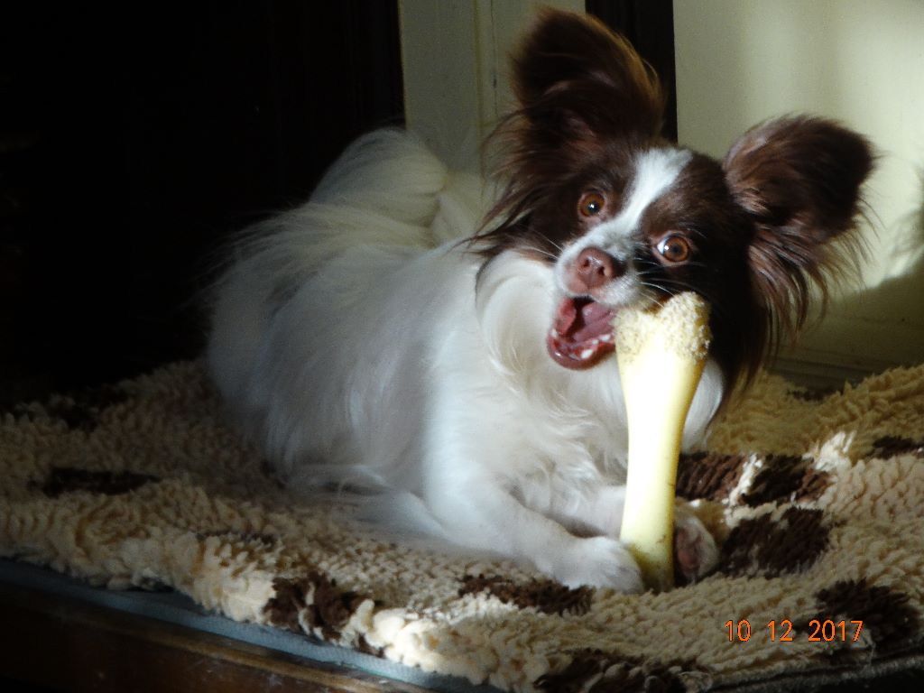 Mirabelle De La Vallée De La Py