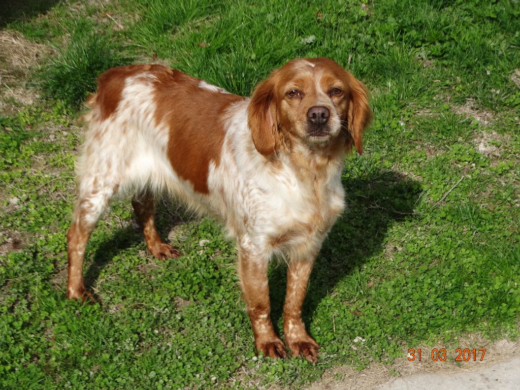 Hulma De La Vallée De La Py