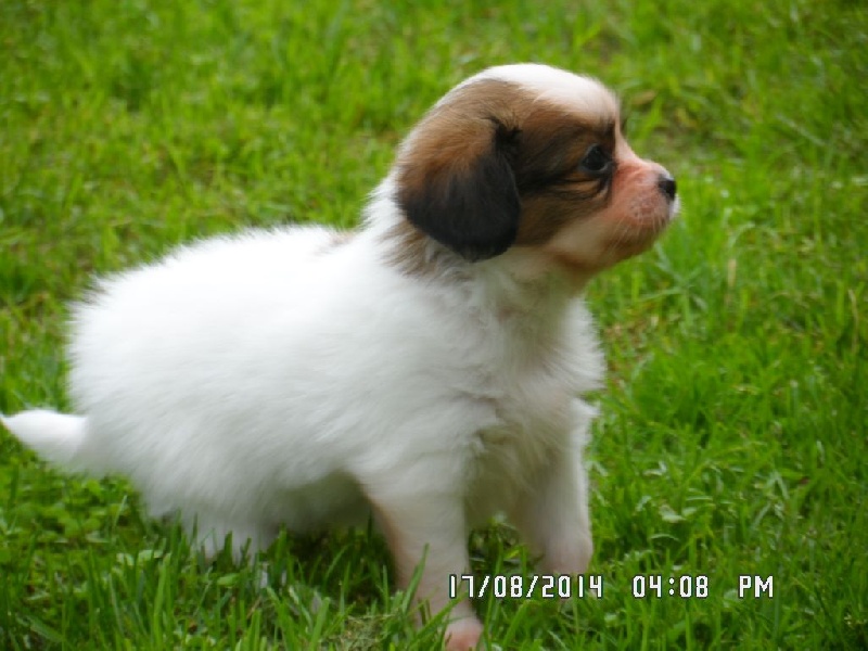 Jepp De La Vallée De La Py