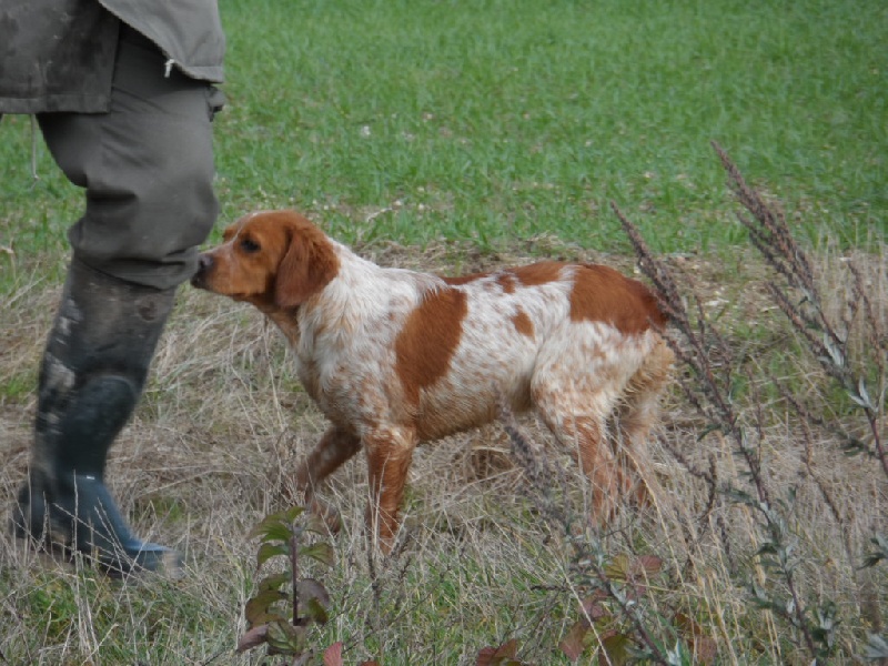 Hulma De La Vallée De La Py