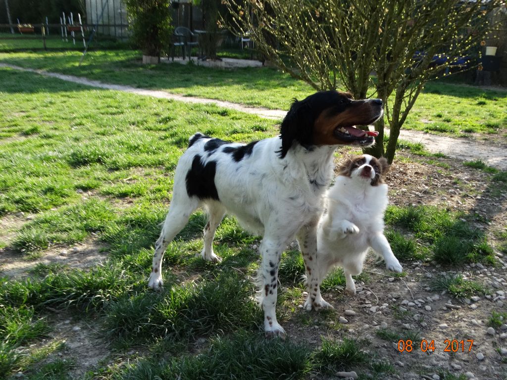 Mirabelle De La Vallée De La Py