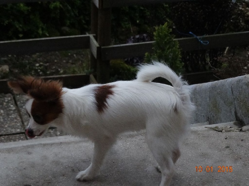 Jepp De La Vallée De La Py