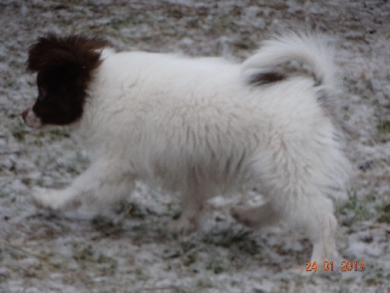 Mirabelle De La Vallée De La Py