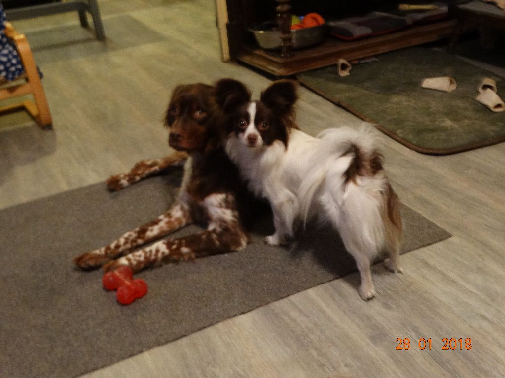 Mirabelle De La Vallée De La Py