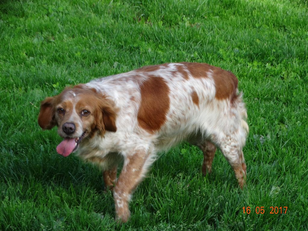 Hulma De La Vallée De La Py