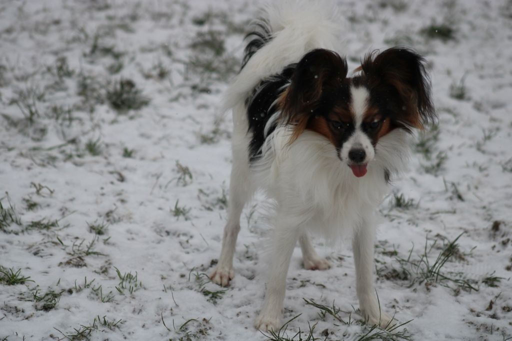 Ricky De La Vallée De La Py