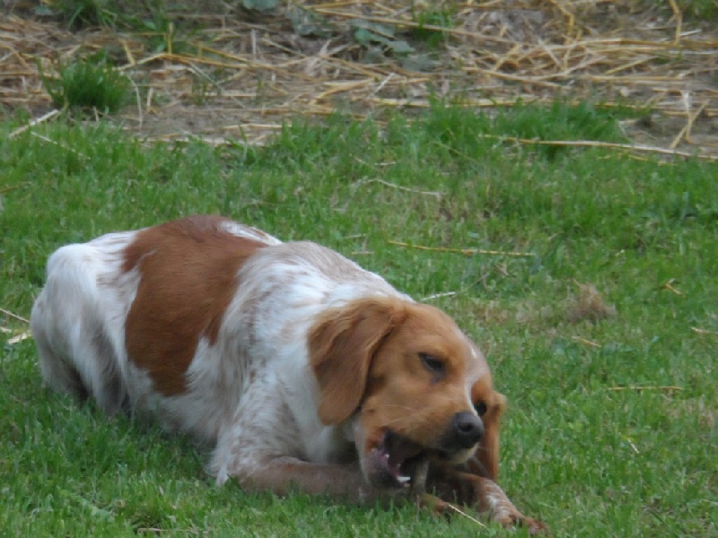 Hulma De La Vallée De La Py