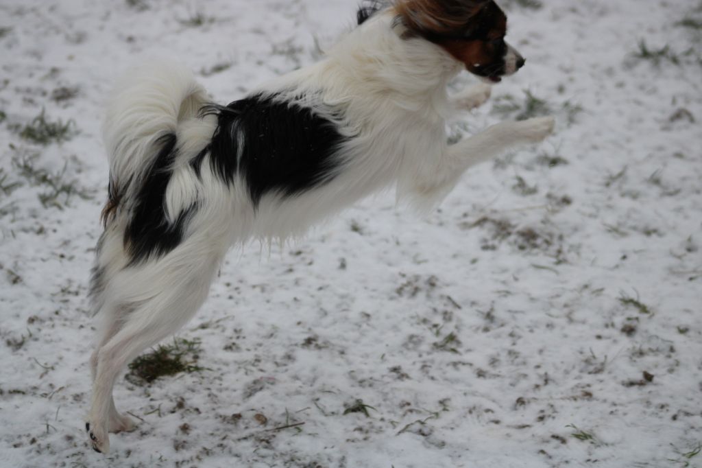 Ricky De La Vallée De La Py