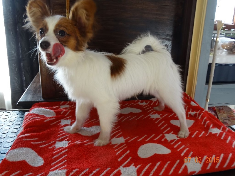 Jepp De La Vallée De La Py