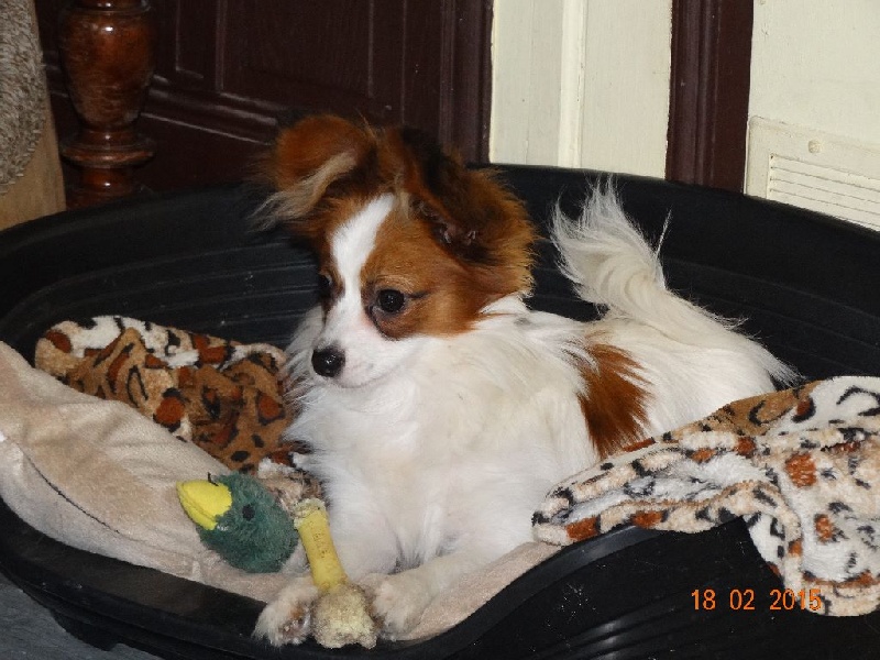 Jepp De La Vallée De La Py