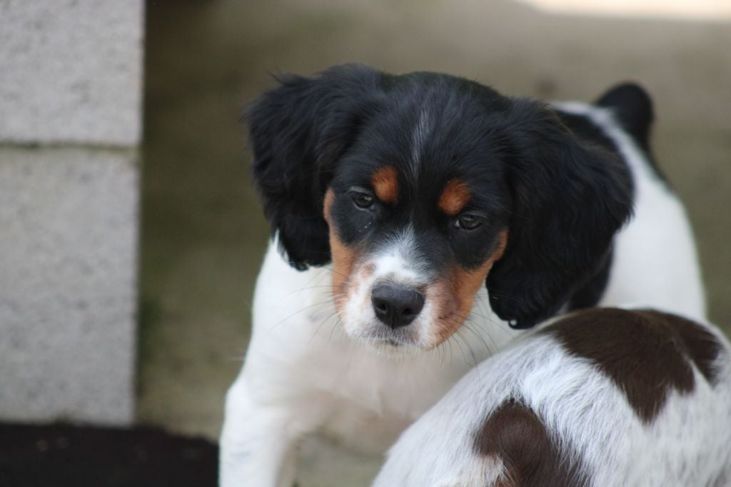 Vidoc De La Vallée De La Py