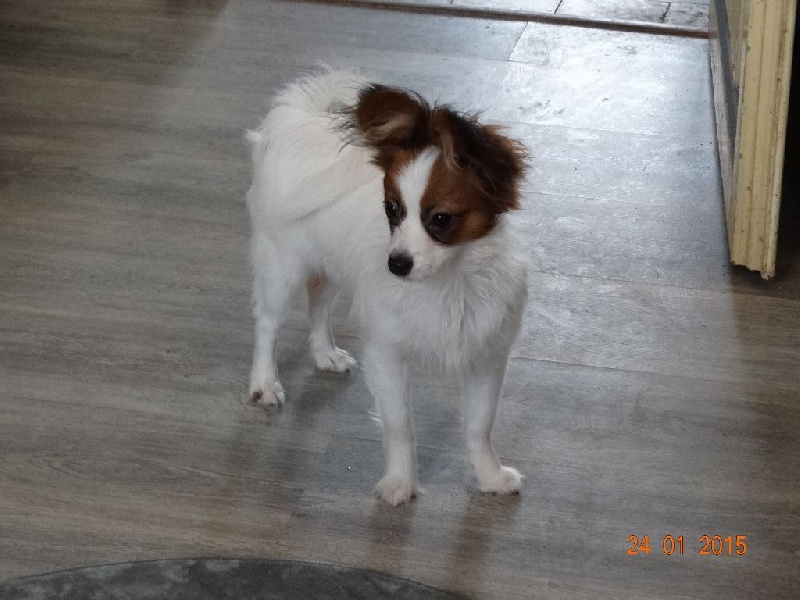 Jepp De La Vallée De La Py