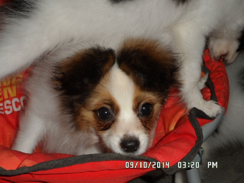 Jepp De La Vallée De La Py