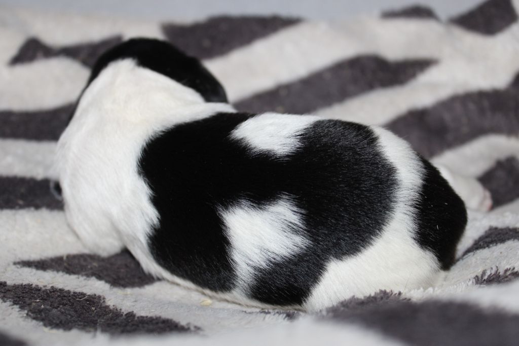 Vidoc De La Vallée De La Py