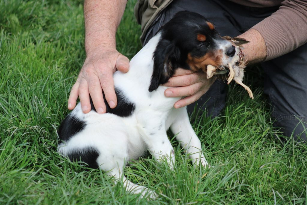 Vidoc De La Vallée De La Py