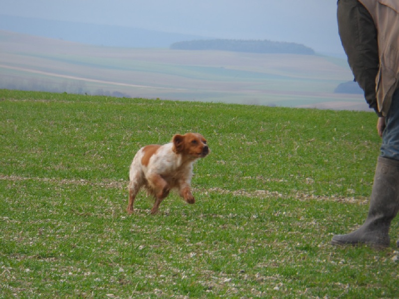 Hulma De La Vallée De La Py